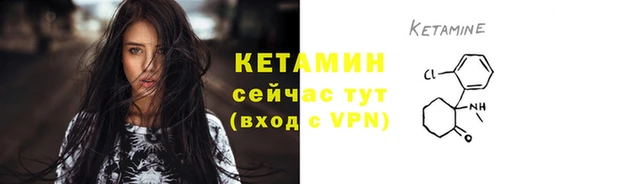 a pvp Новодвинск