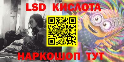 a pvp Заводоуковск