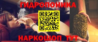 гашик Заволжье
