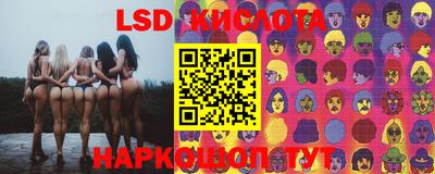 a pvp Заводоуковск