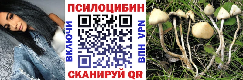 Галлюциногенные грибы Magic Shrooms  Кызыл 